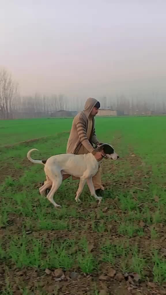 @Yasar khan