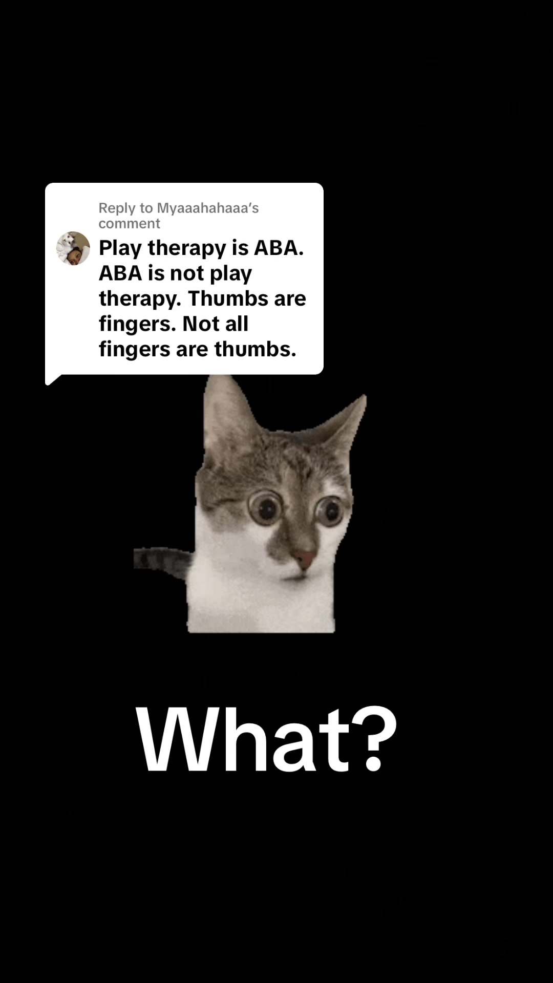 @ASD/ developmental therapist