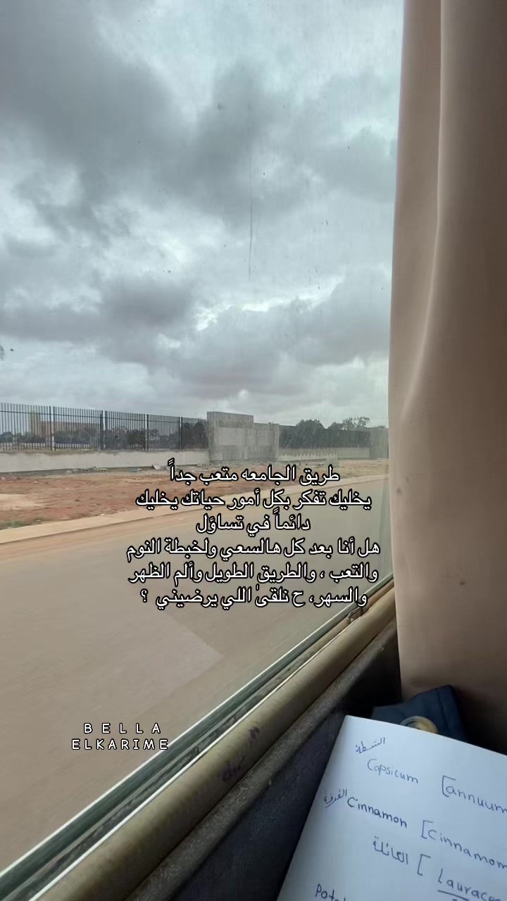 @﮼بيلا،الكريمي 🩶.