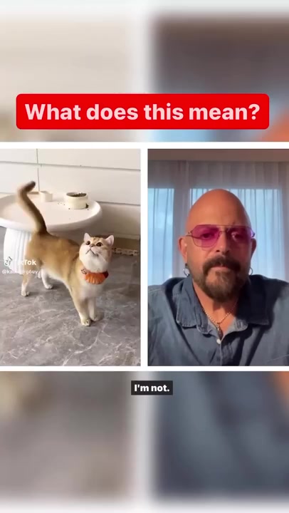 @Jackson Galaxy