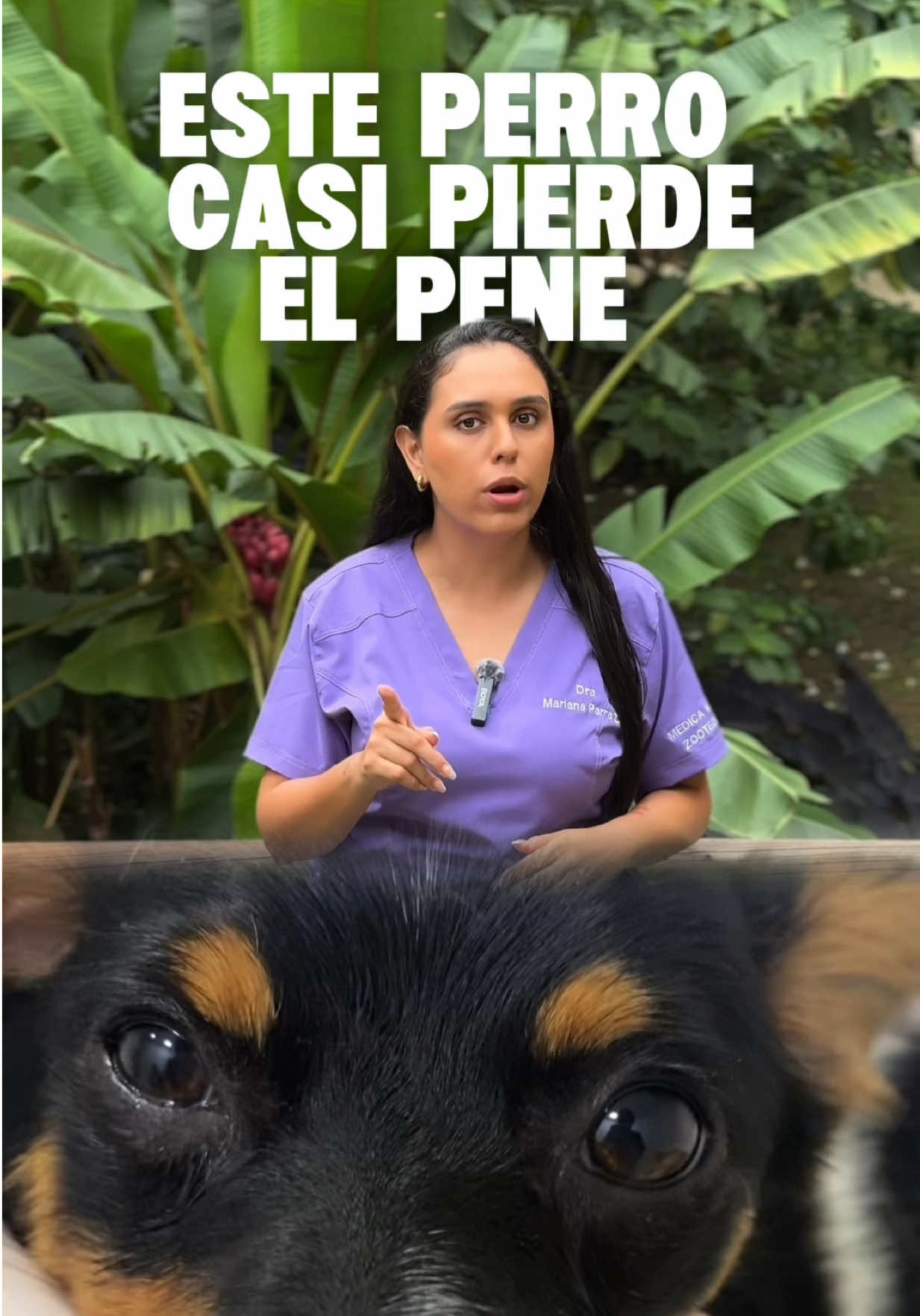 @Mariana Parra