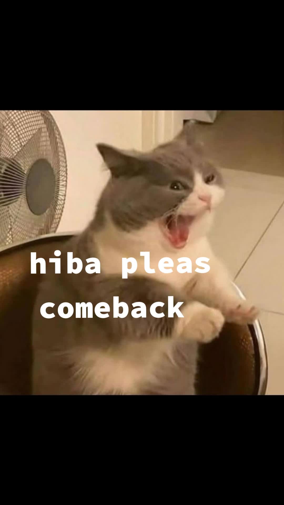 @i love heebaa🥹