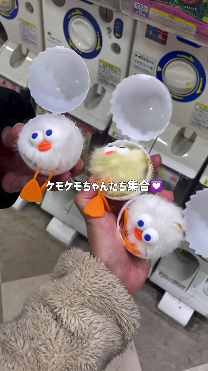 @すじこ