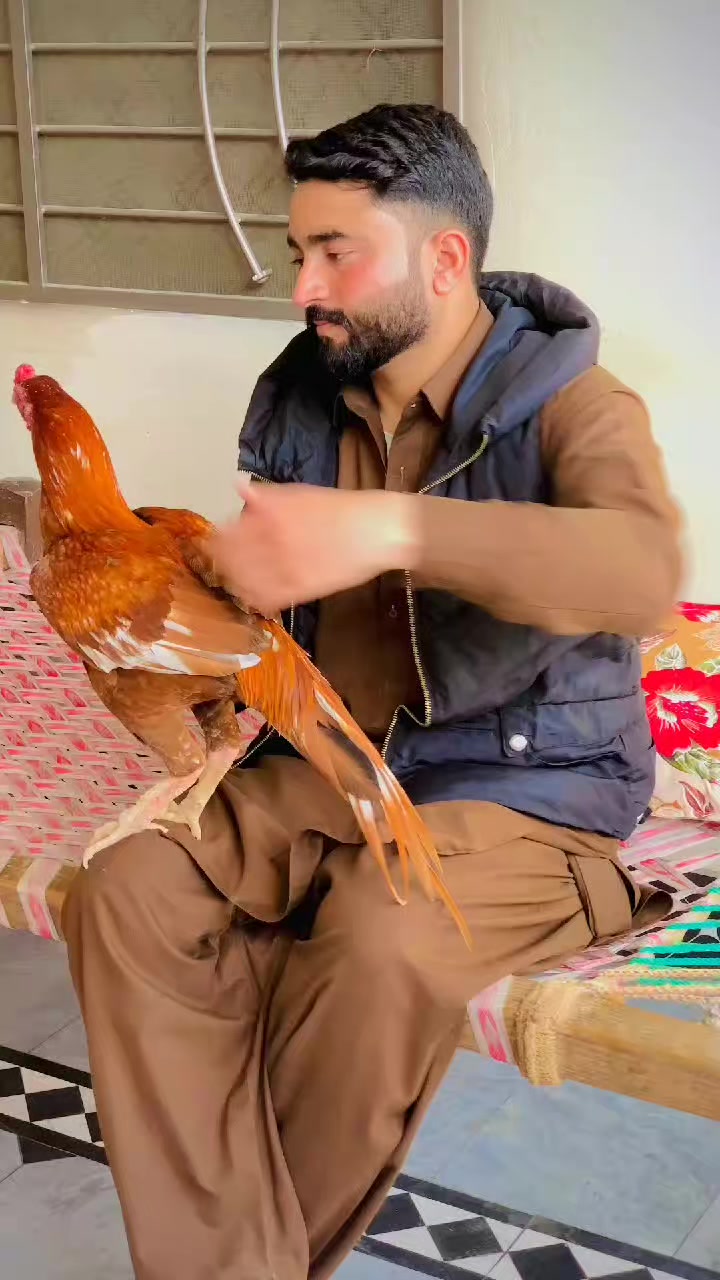@🌿Syed IftiKHaR SHaH🌿