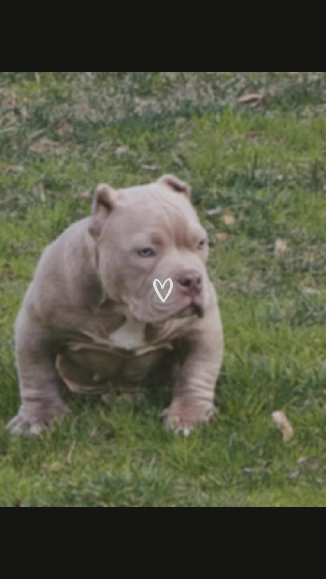 @Megan
