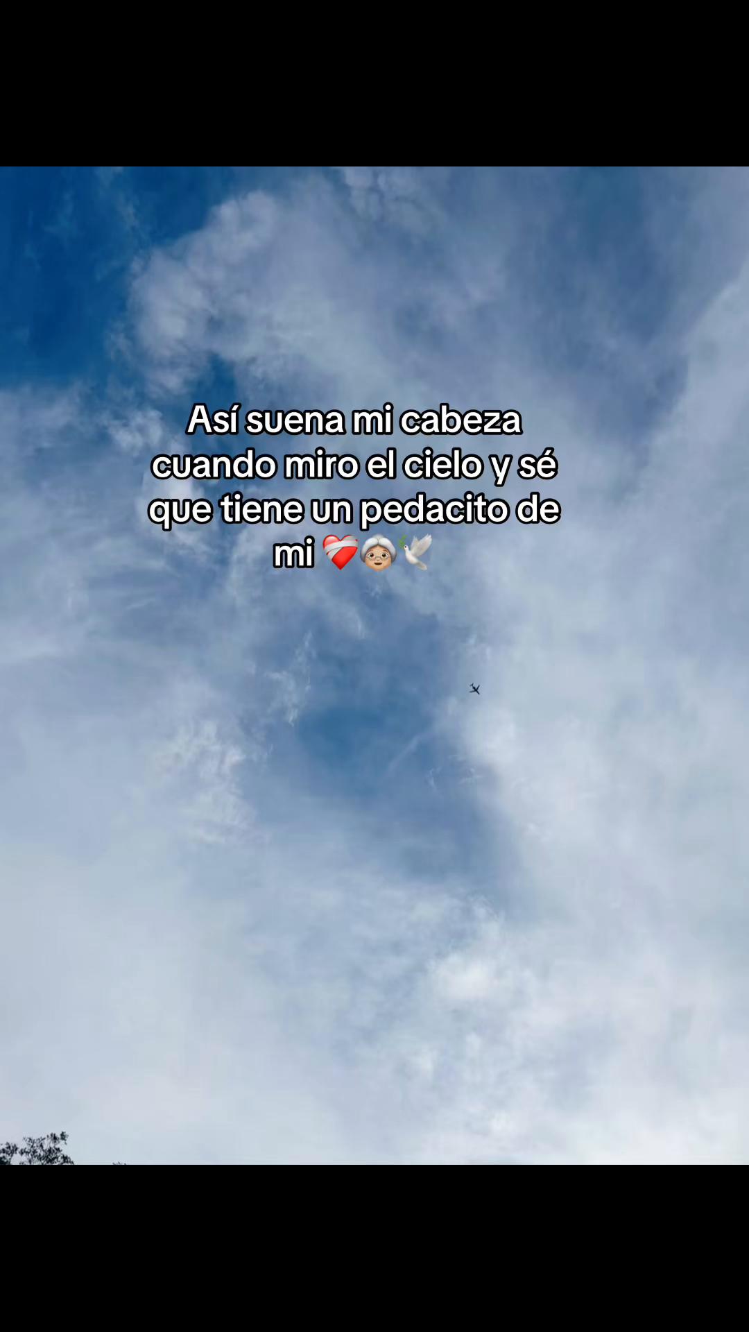 @Antho🧚♀️✨🌻