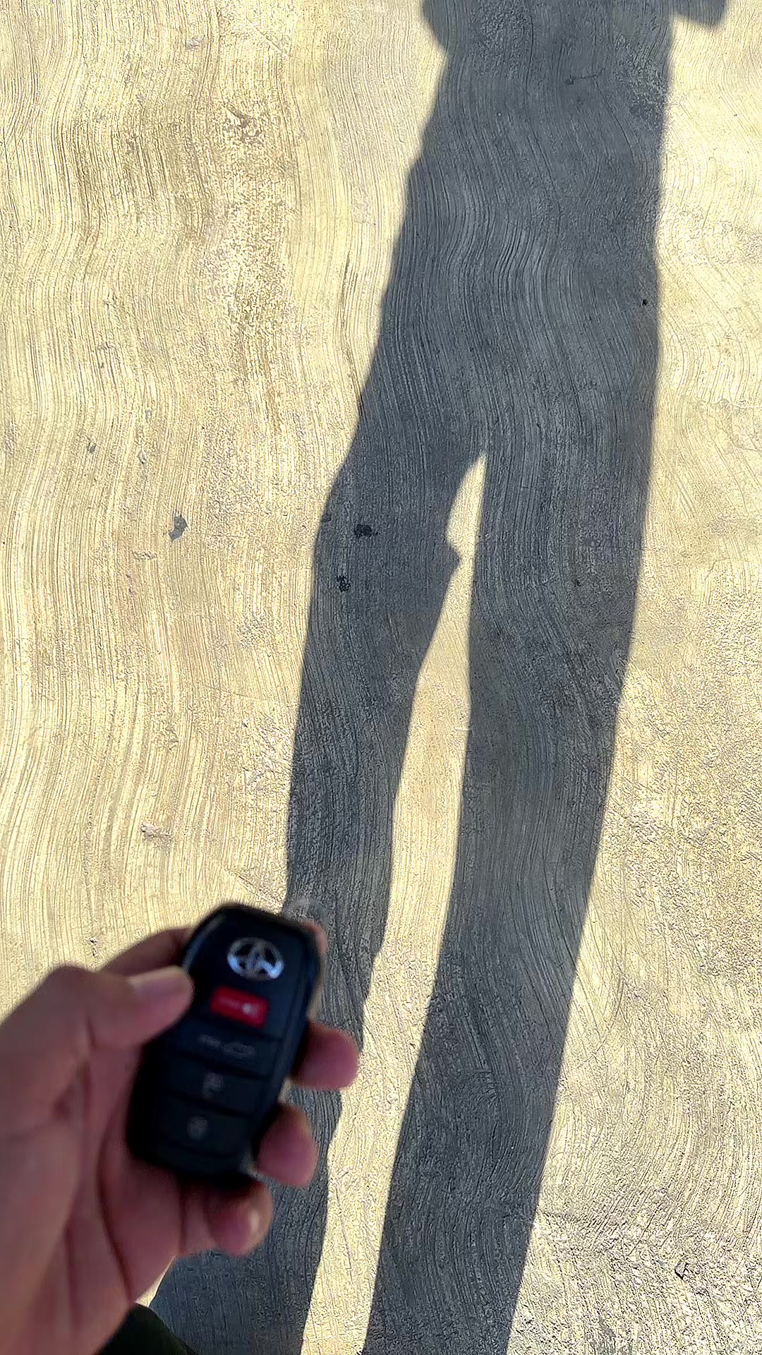 @vehiculosmithⓂ️