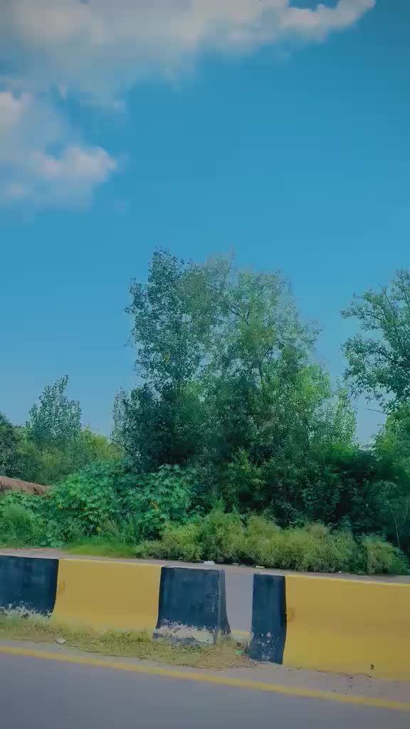 @wajidwali