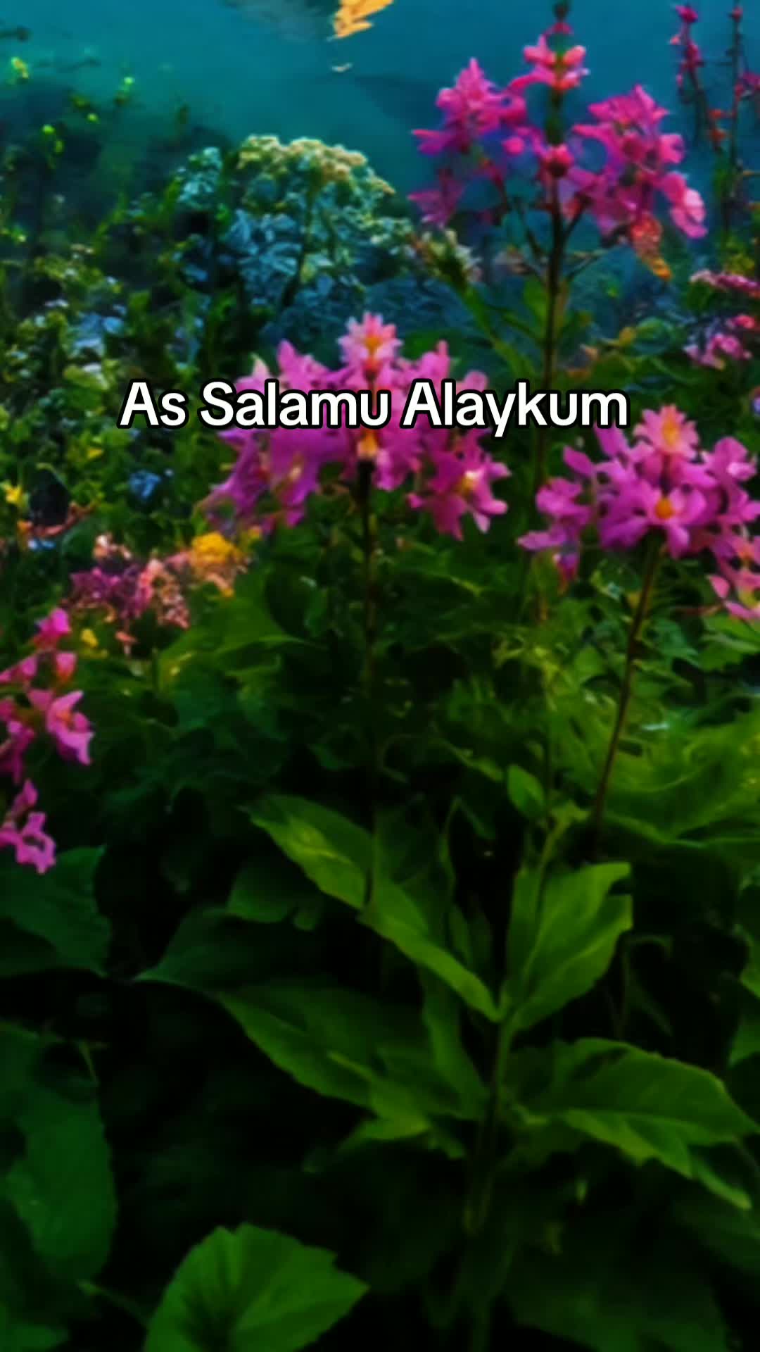 @Halima