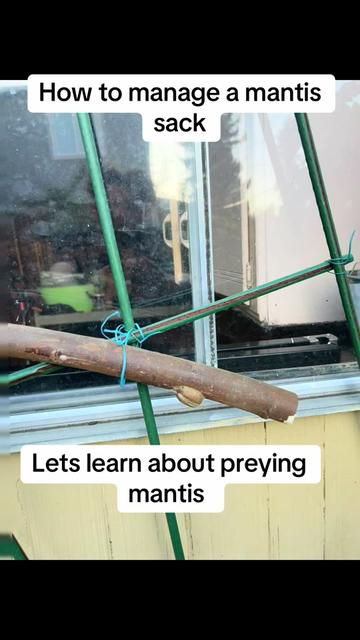 @Bakedgardening