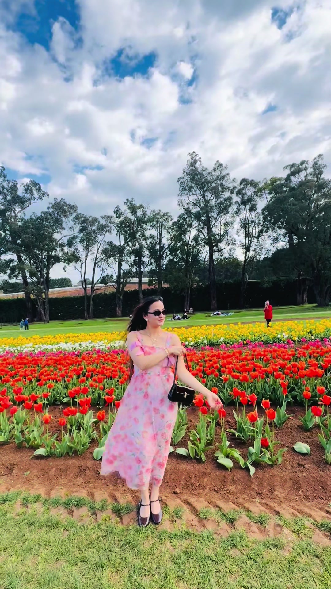 @Gauri🦋