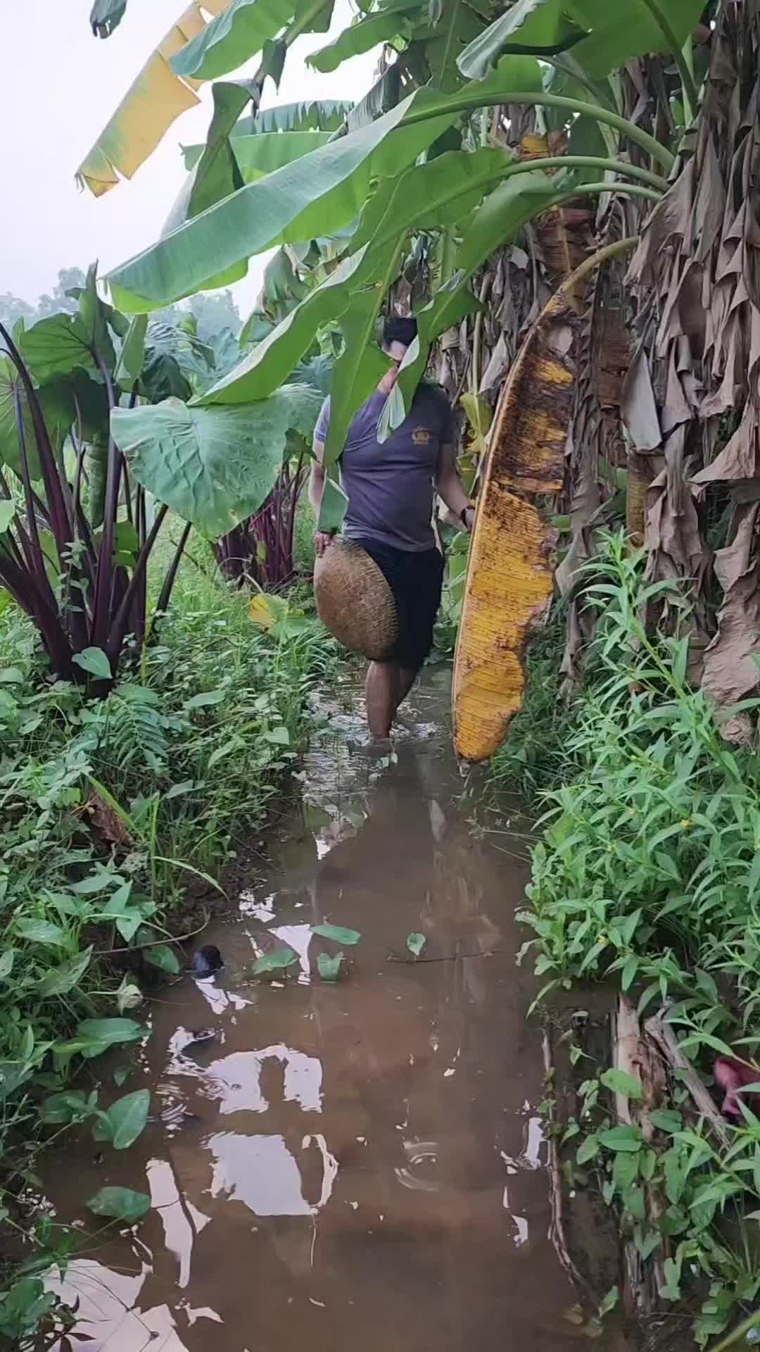 @MALVINAS BHARADUTA🇲🇨
