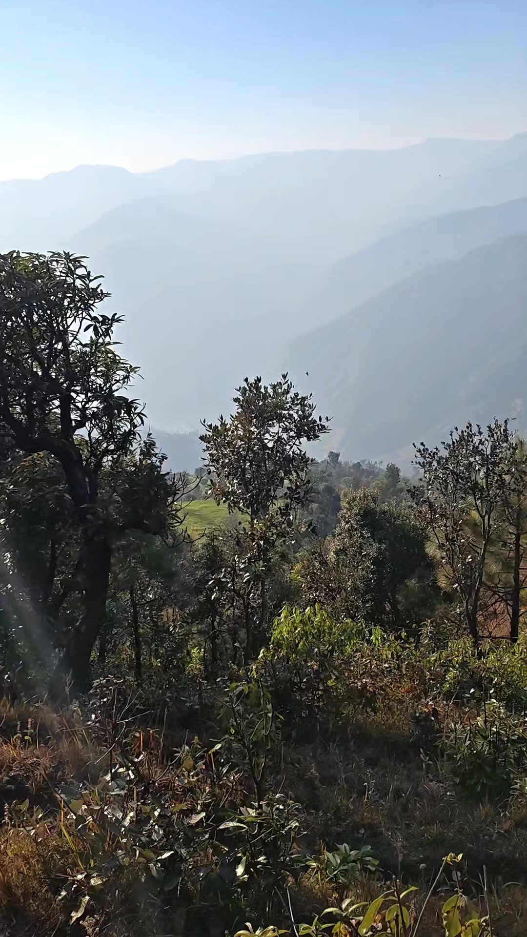 @Gita Adhikari
