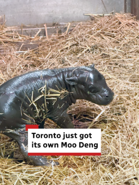 @CBC Toronto