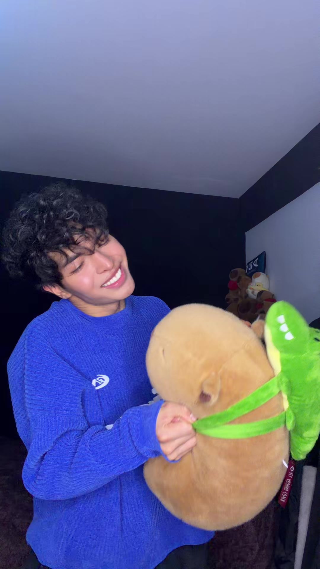 @aritocapibara22