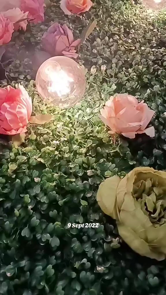 @👑chandralekshmi👑