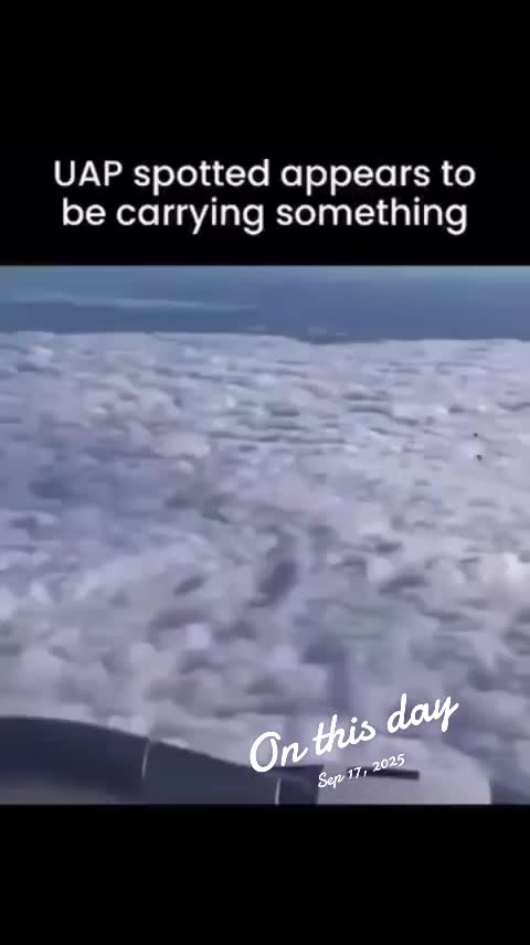 @PEJE-SAURIO69