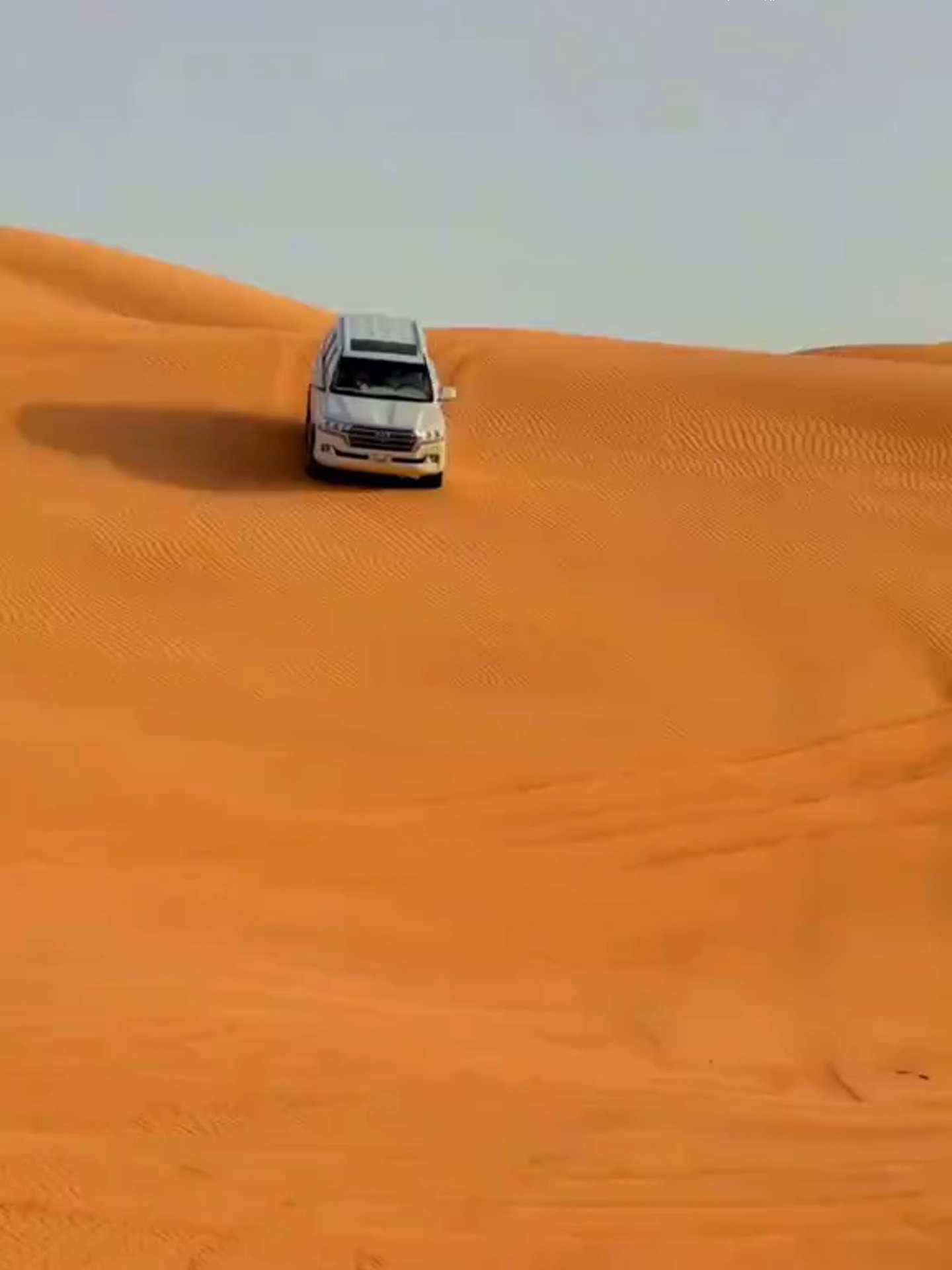 @Arabia Tours 2
