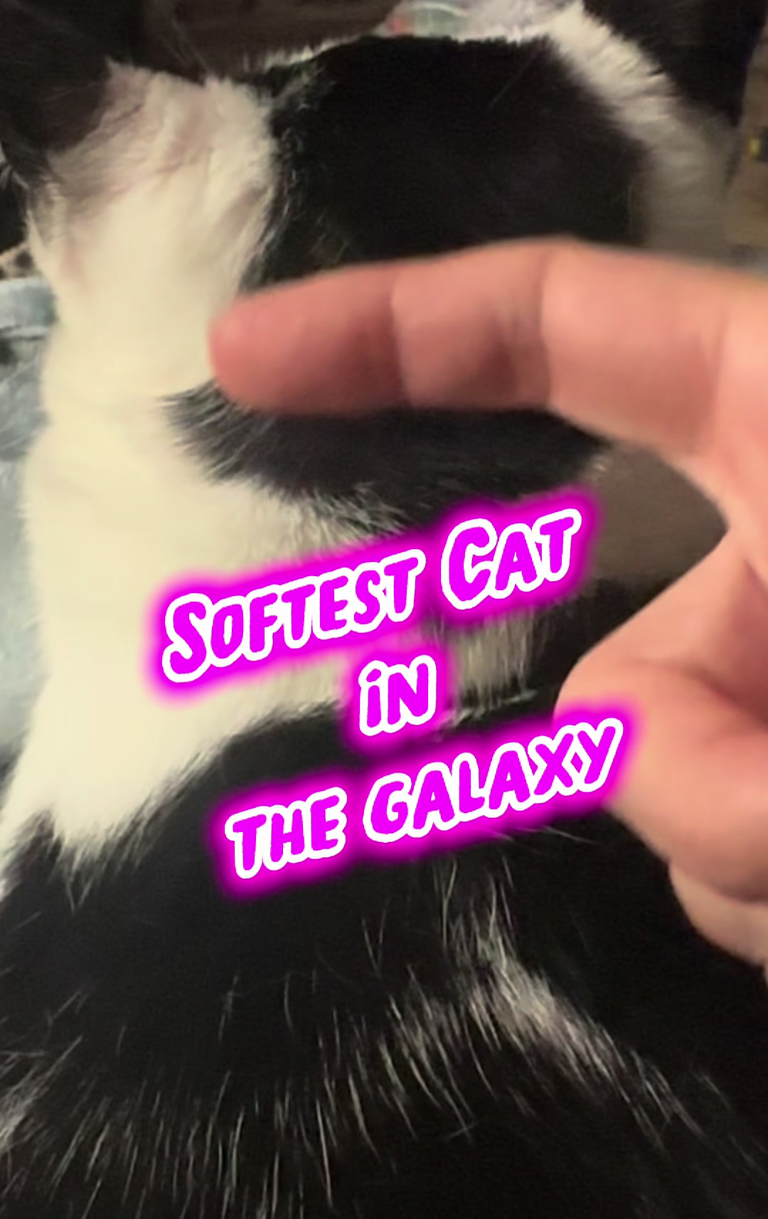 @cindy_clawpurrrr