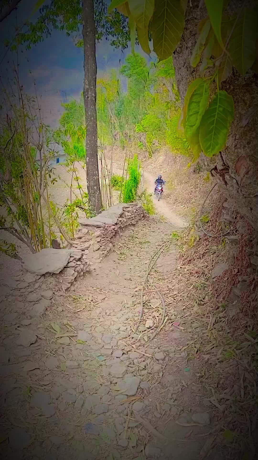 @wived👩&zwj;❤️&zwj;💋&zwj;👨❣️