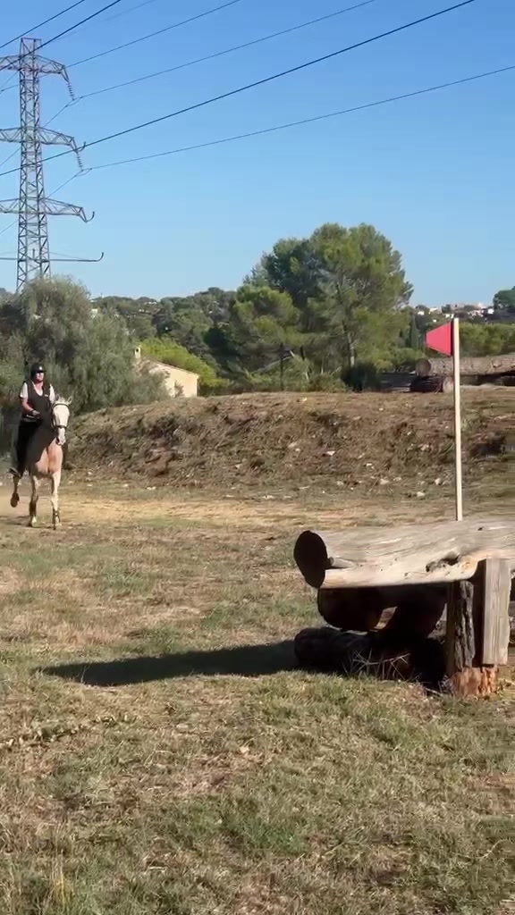 @haras de castille