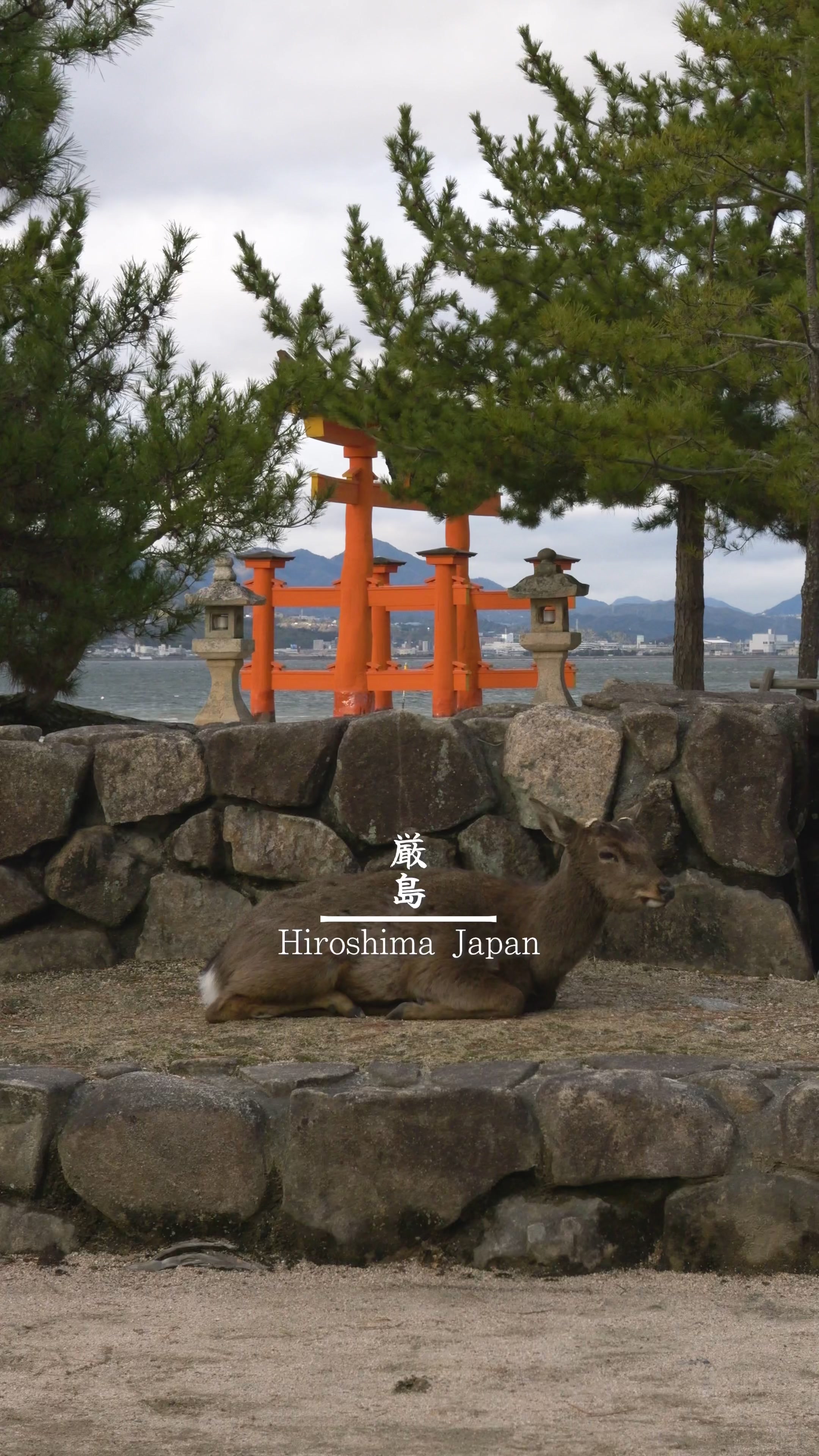 @s.hayata_tabikura
