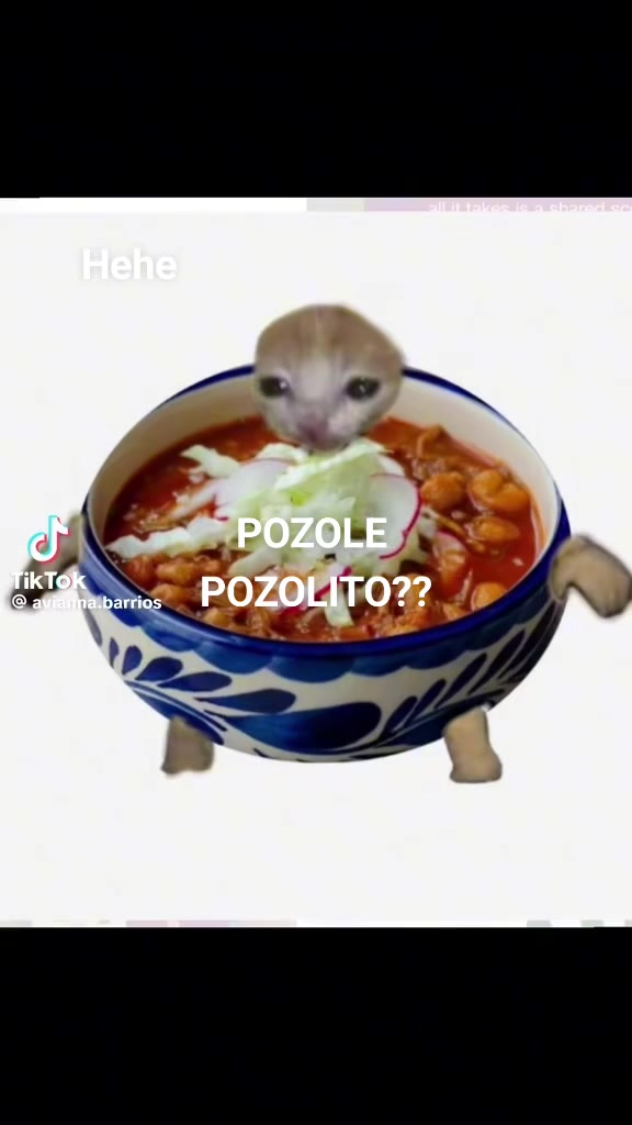 @๐ค๐ค๐ค๐ค๐ค๐ค๐ค ๐ค๐ค