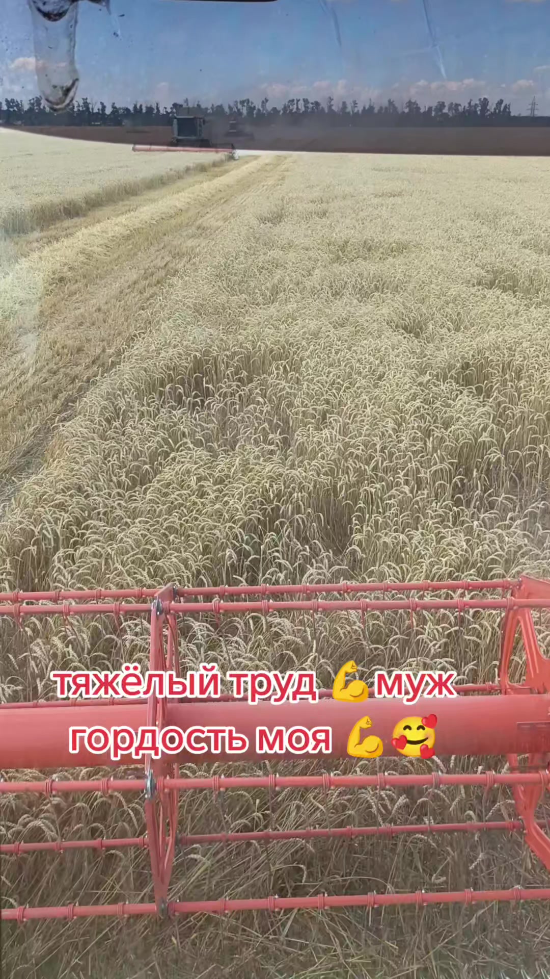 @Алёна
