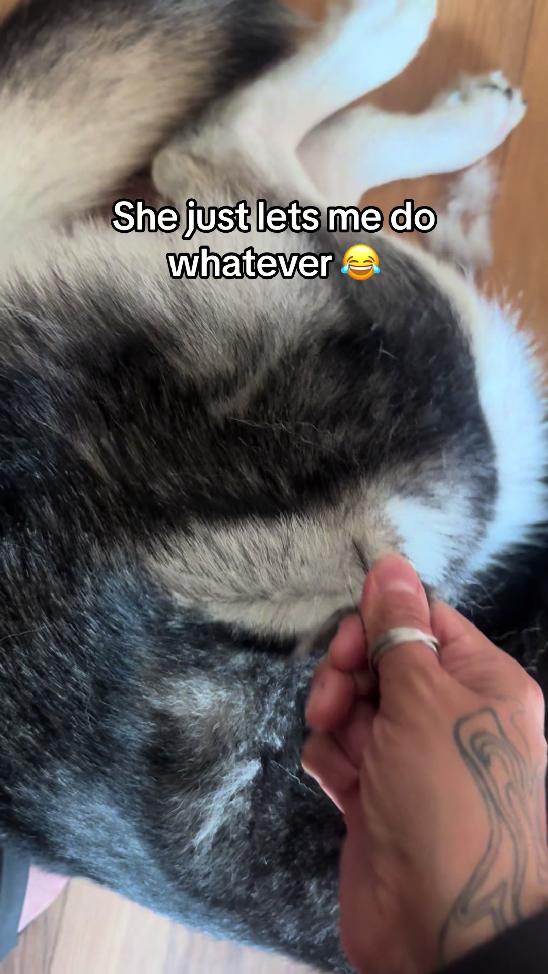 @gremworld