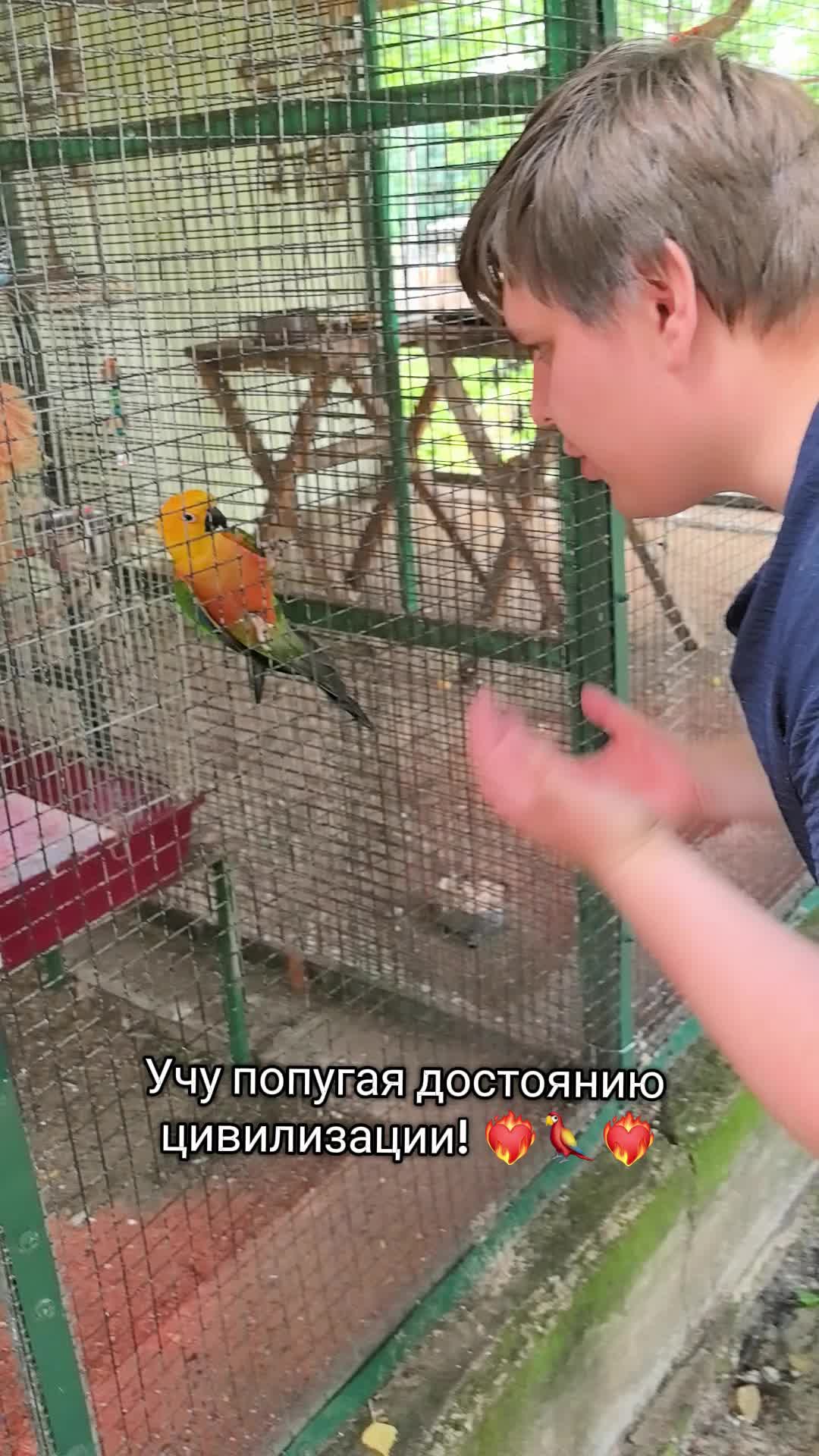 @тгк уТомзова История Общество