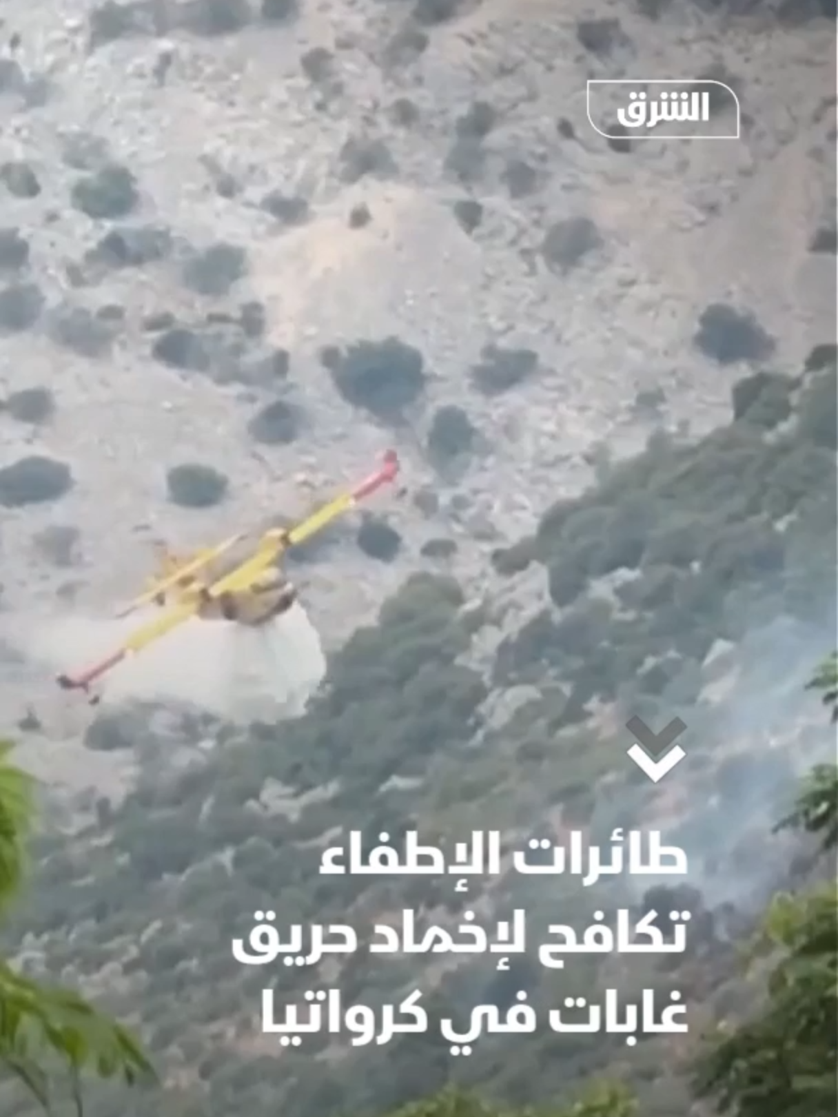 @Asharq News الشرق للأخبار