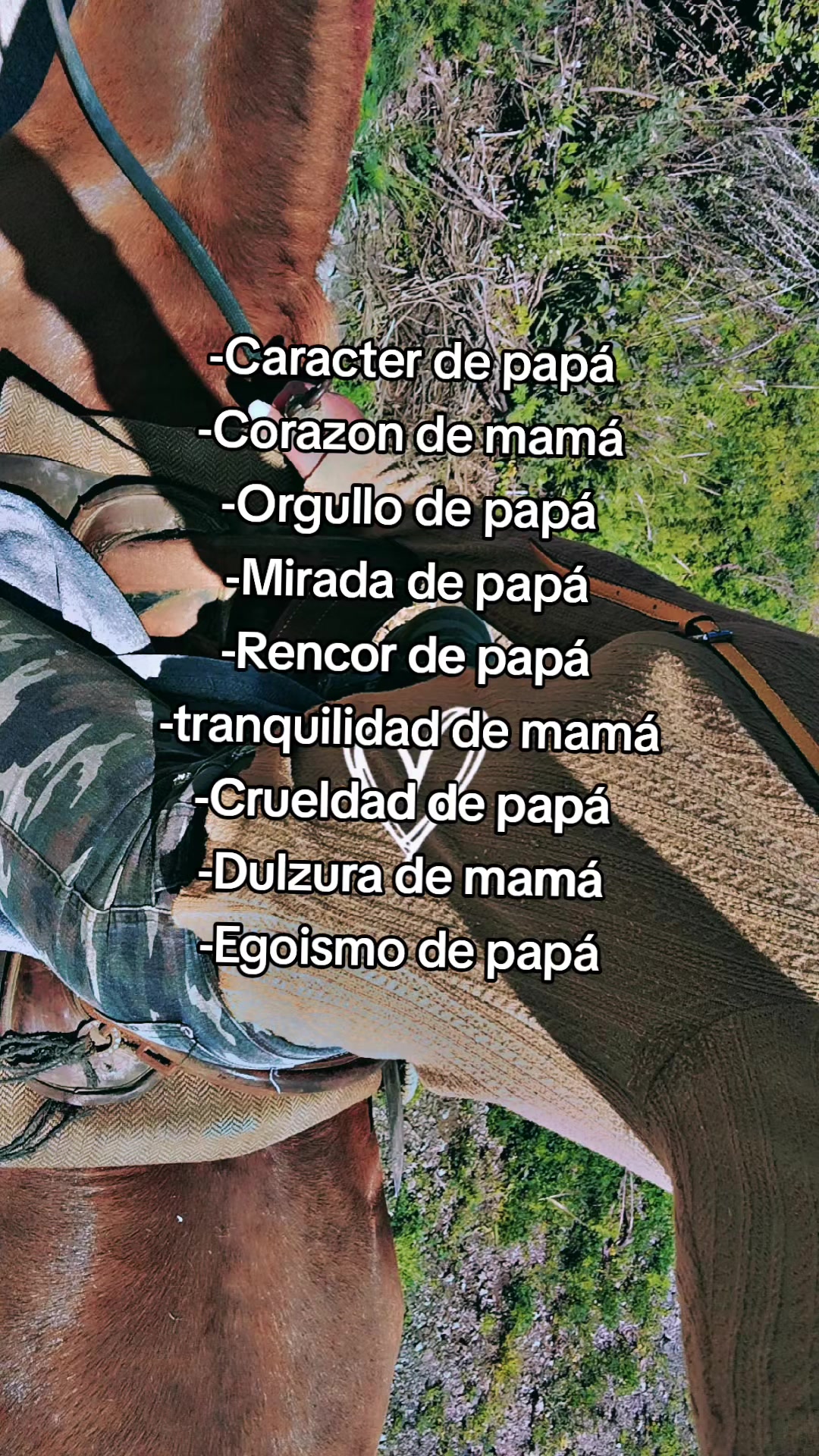 @LIRA💪✨