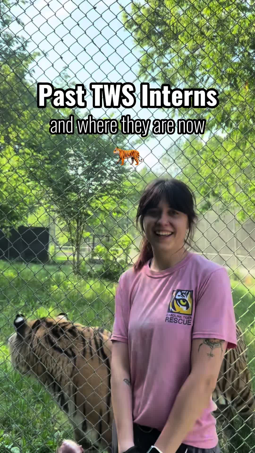 @The Wildcat Sanctuary