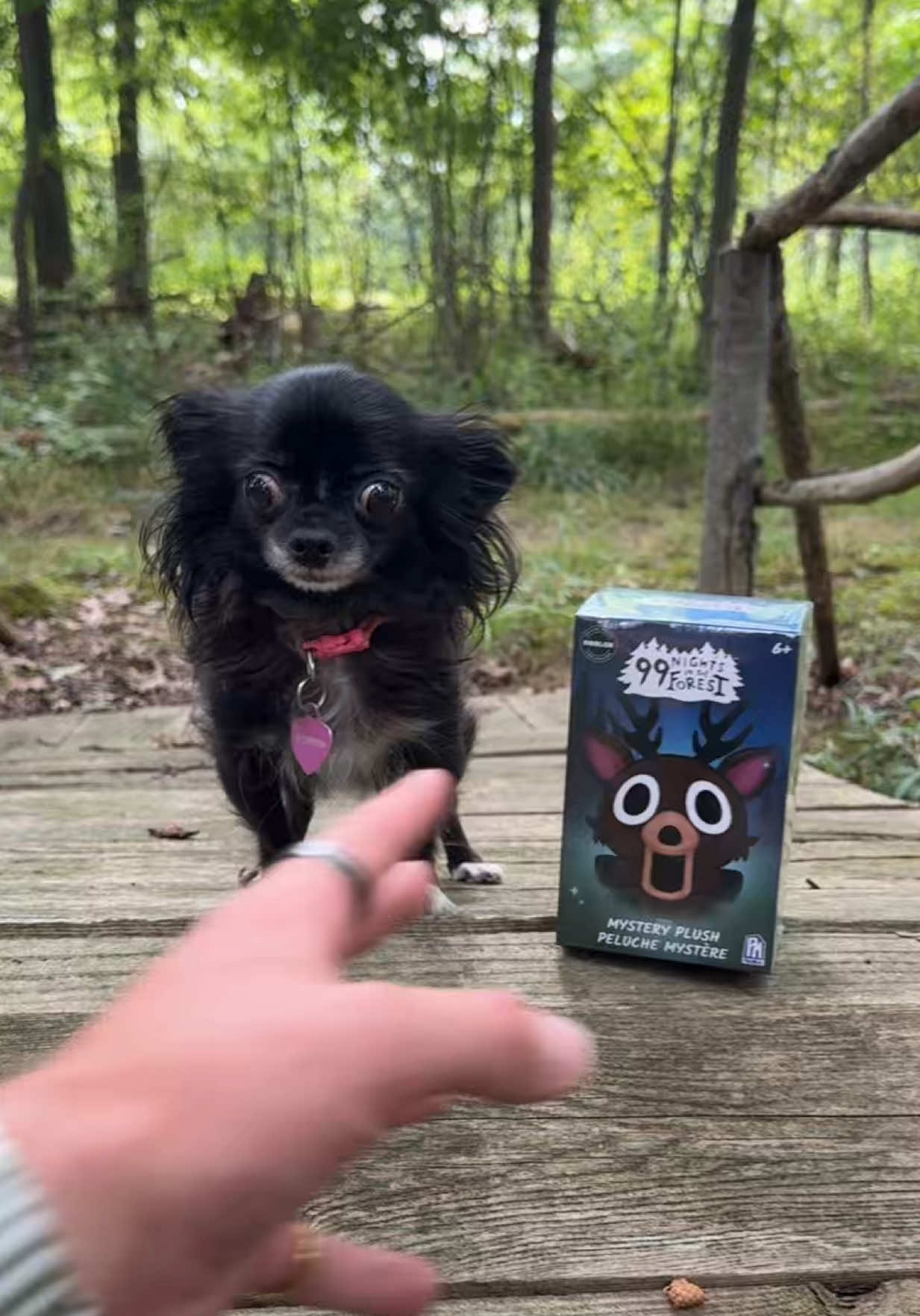 @JoshPuddinAndDozer