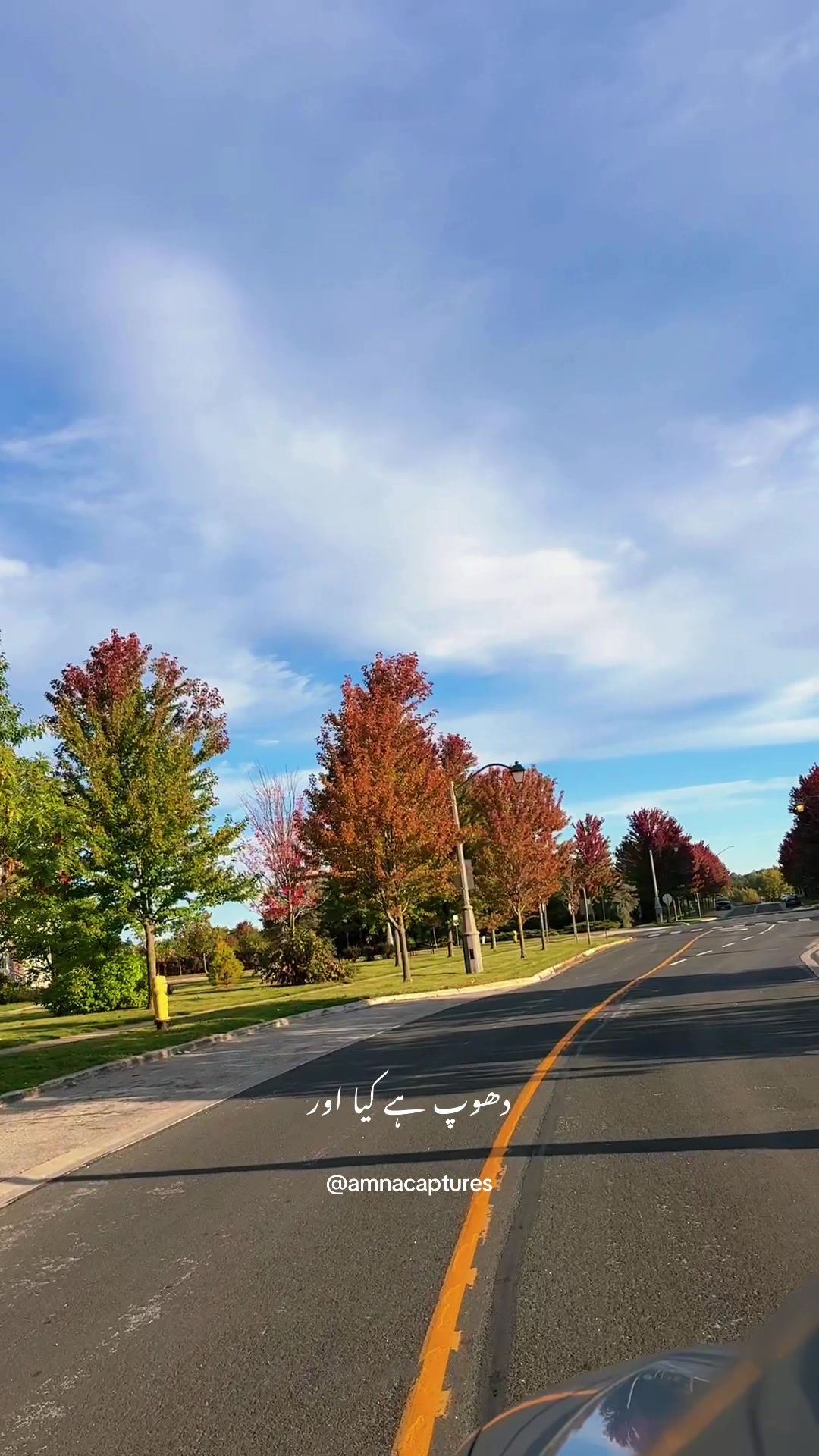 @Nature lover 🇨🇦
