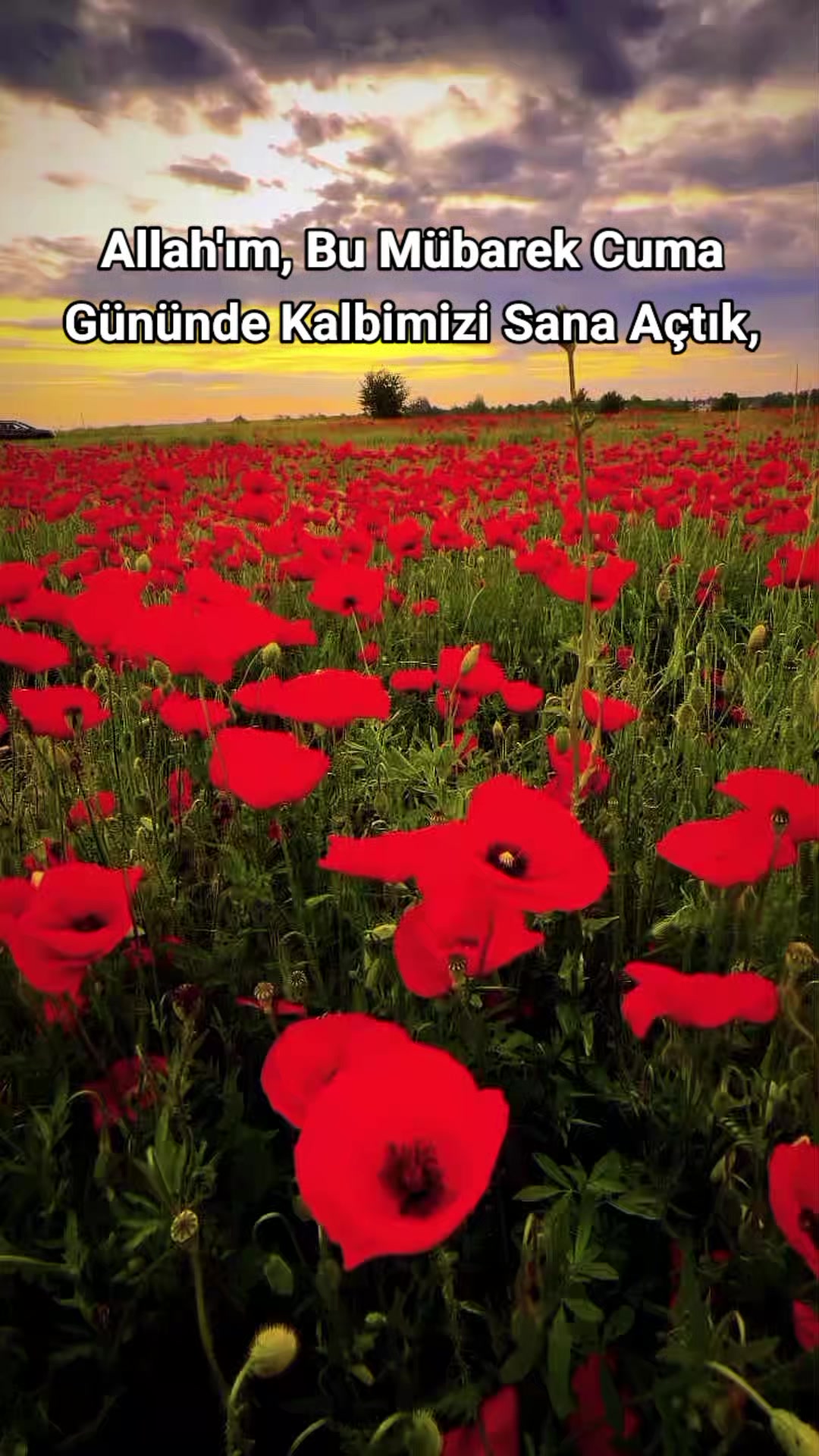@Kur'an_ayet_hadis_ve_duâ