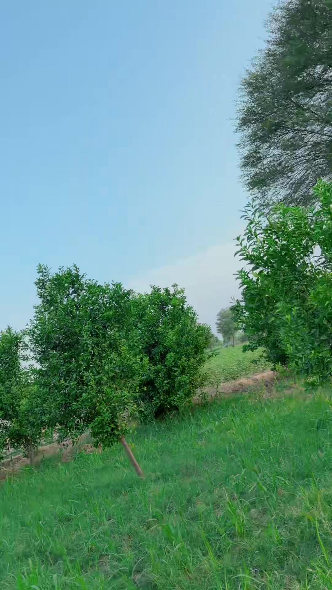 @it'z__Anu💫🕊