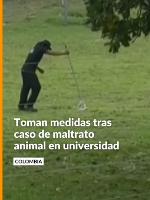 @Noticias Caracol
