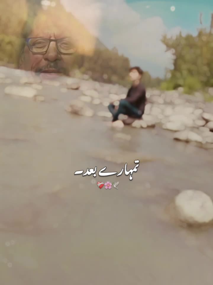 @Gillsahib88