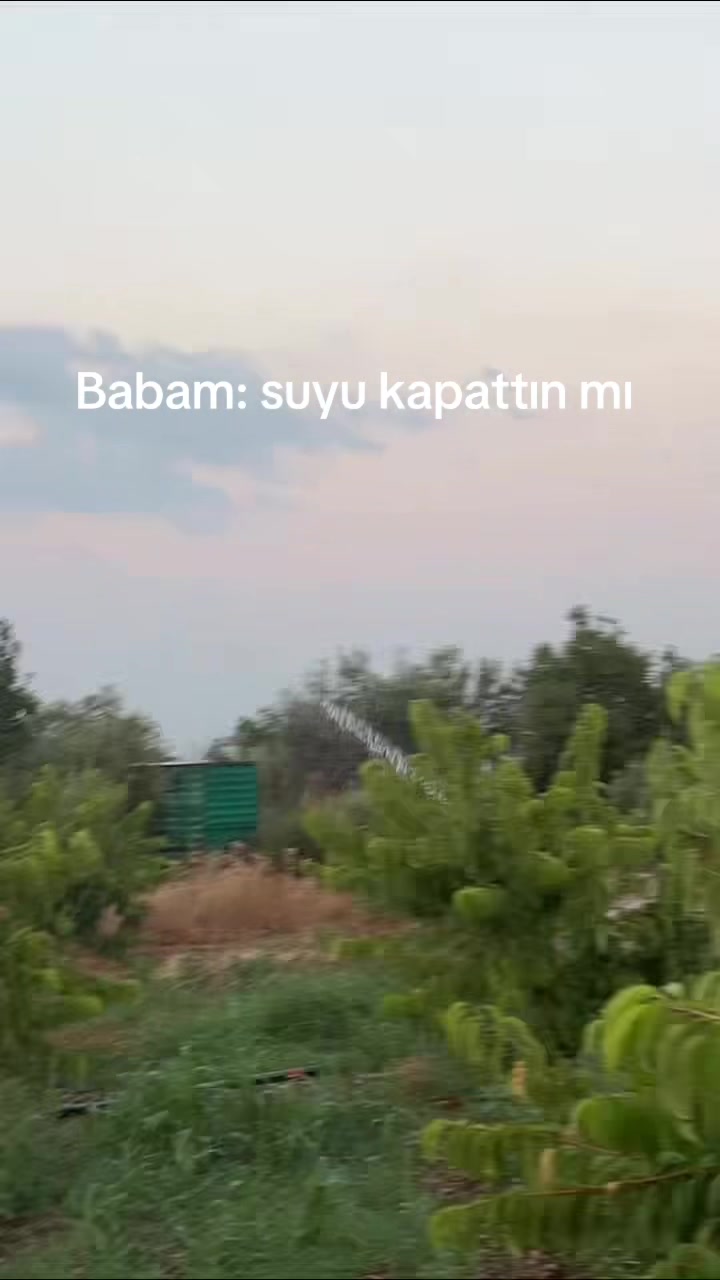 @irem iii