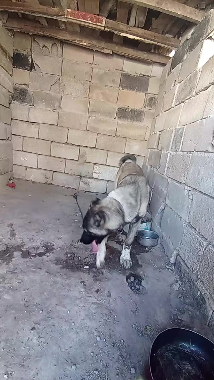@Yusuf saldık