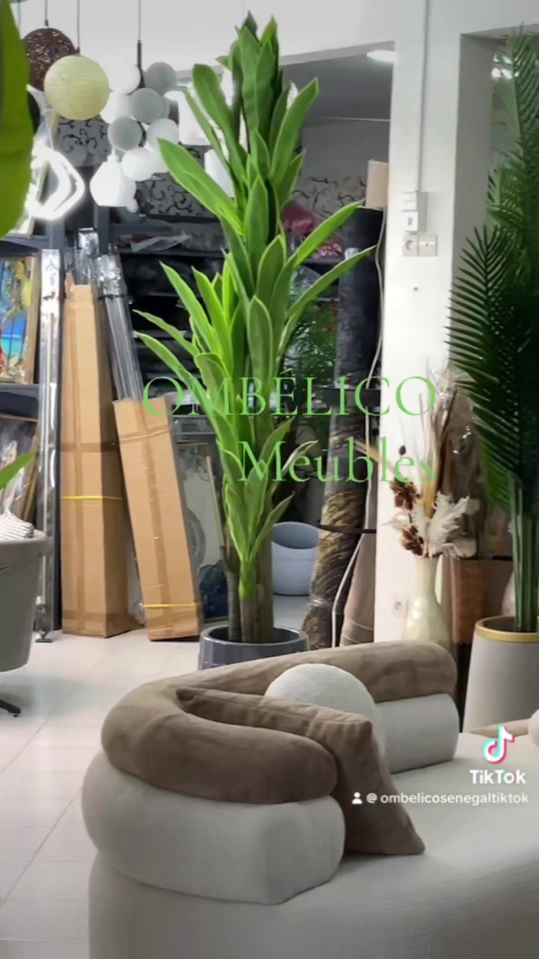 @OmbelicoTikTok.SN