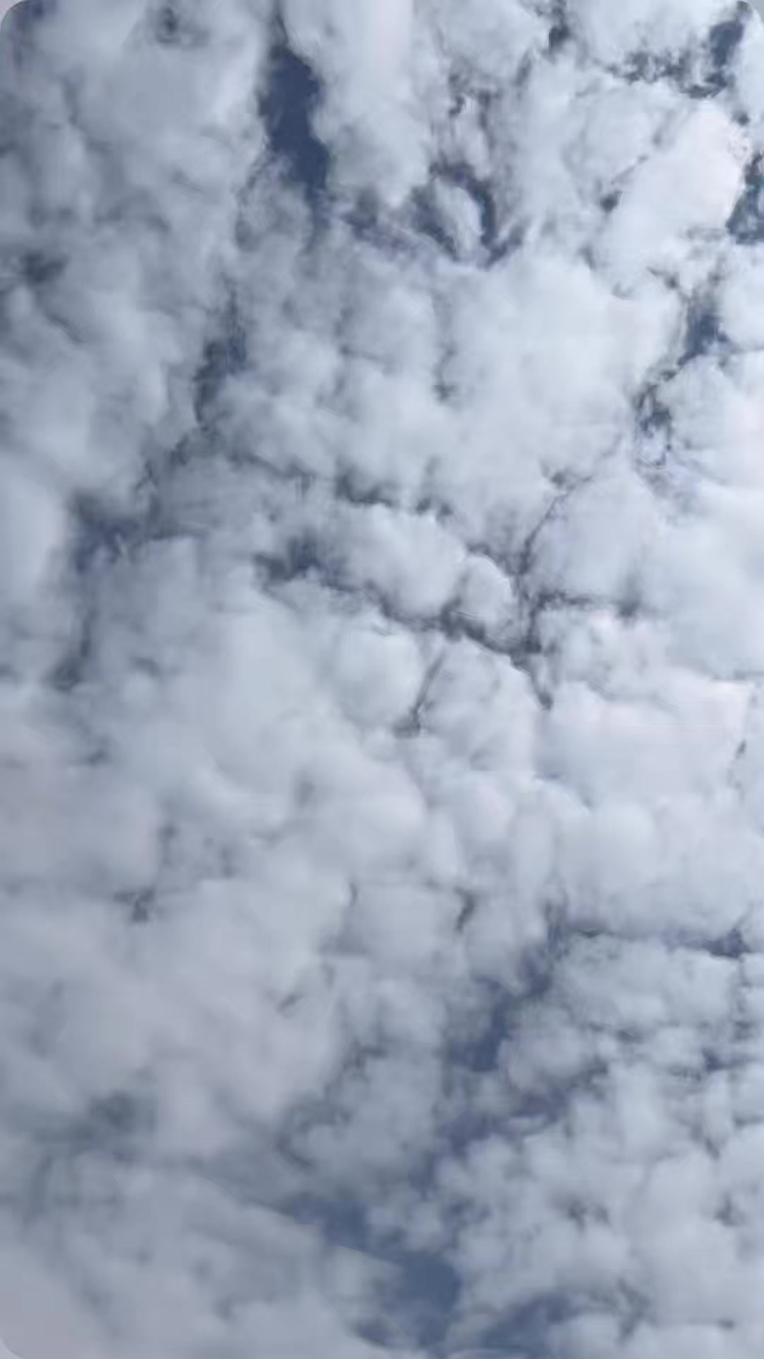 @أبو مبارك