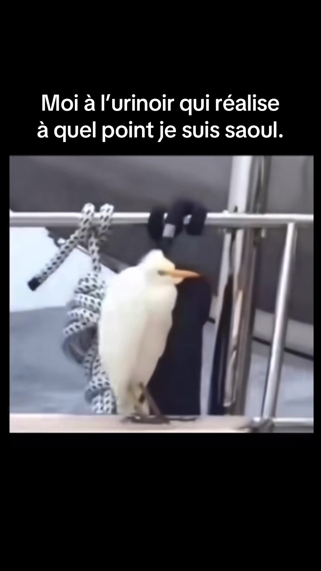 @Drôle Qc 🤣