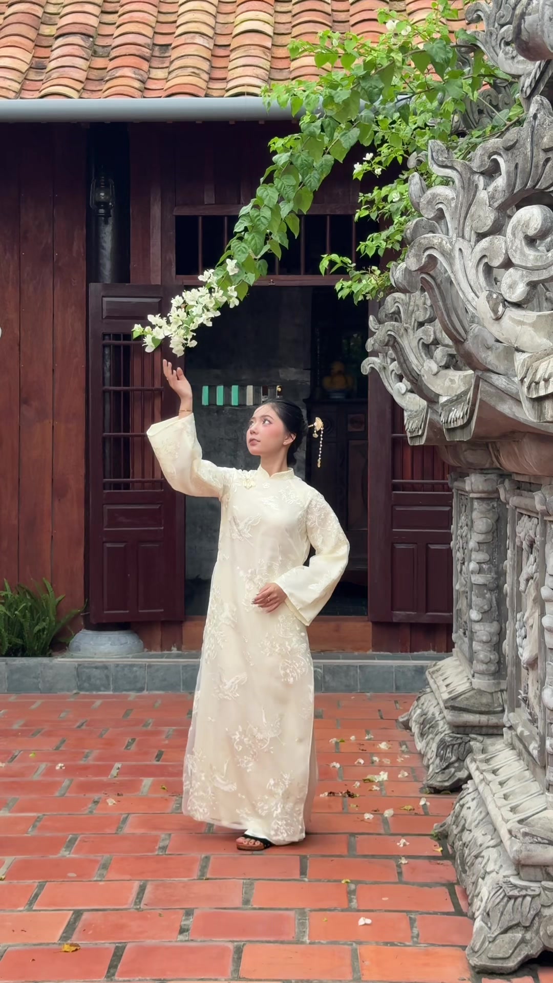 @Dương Trường Sanh 📸