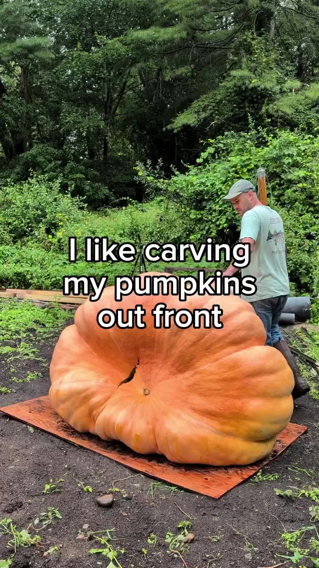@bigpumpki