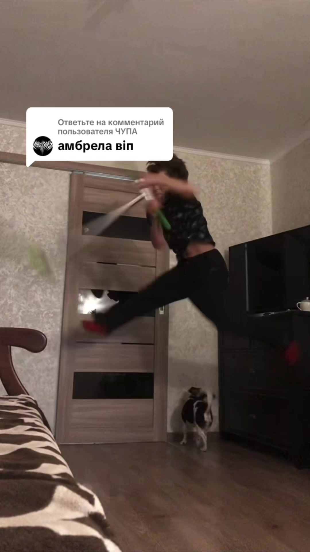 @Artteeeem_zt