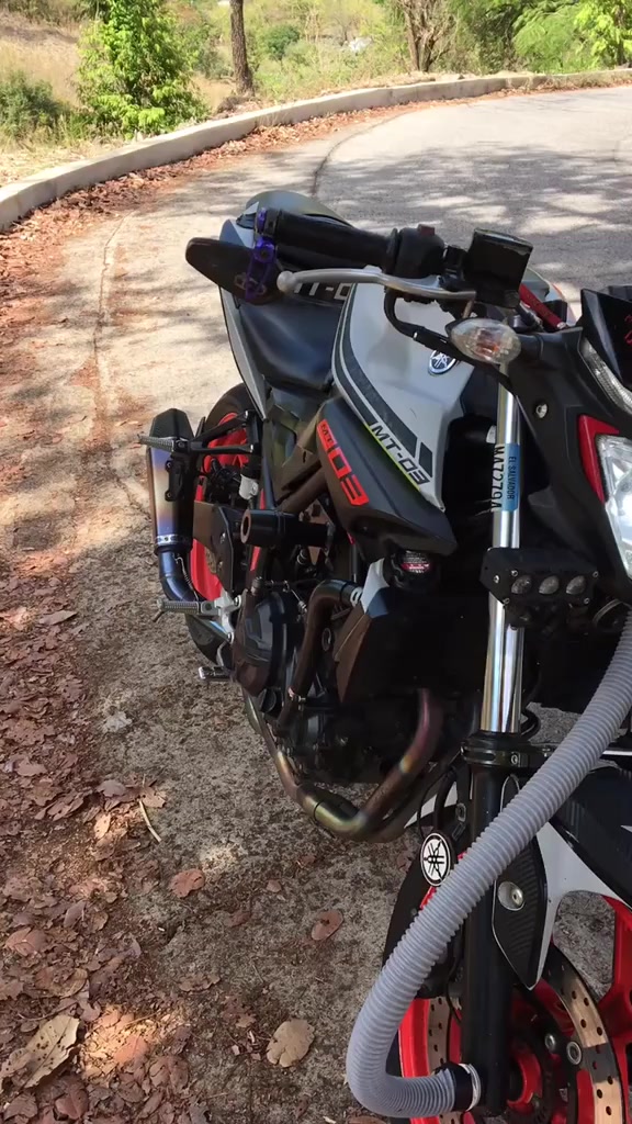 @Martinez503🇸🇻