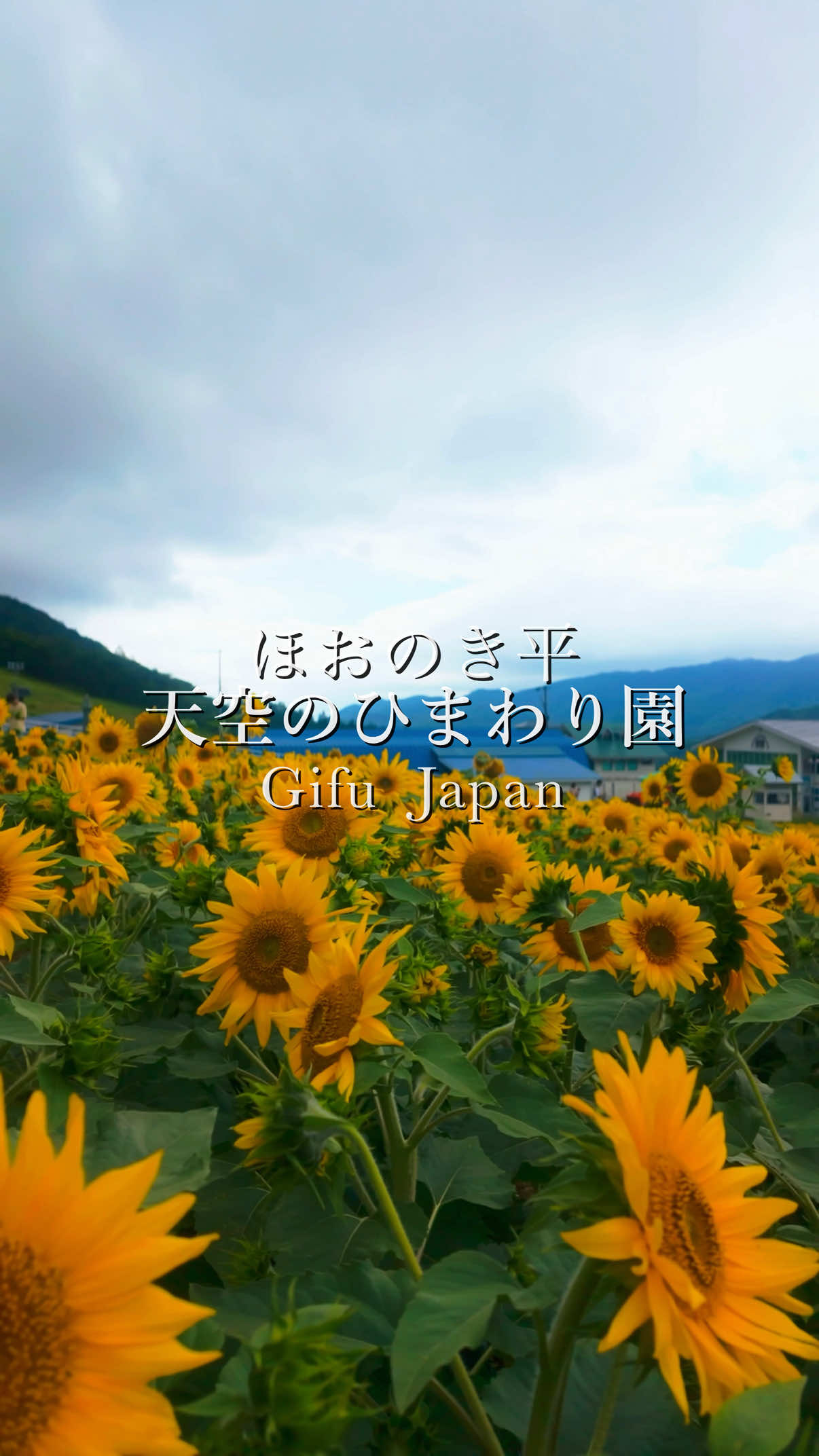 @tabi_momoka/観光•旅行