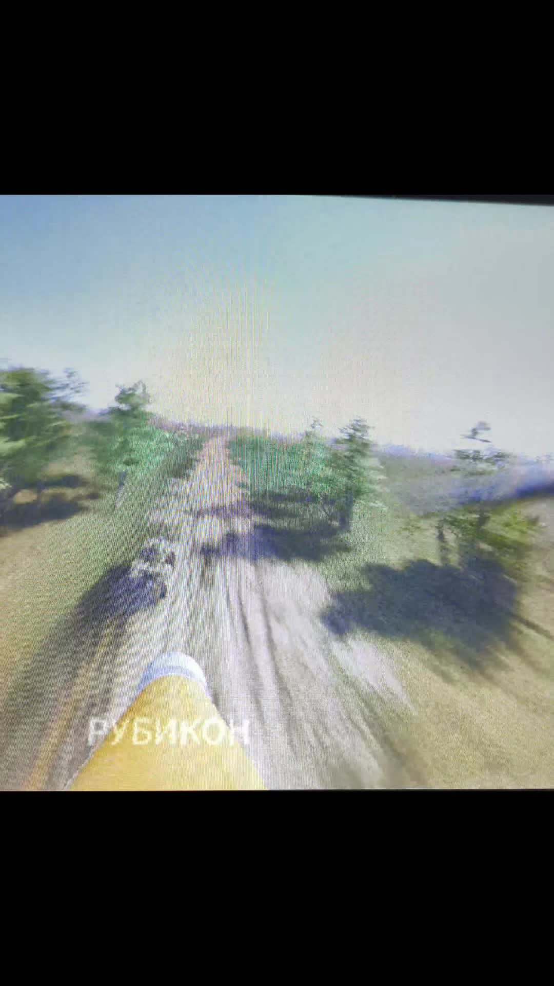 @из жалости